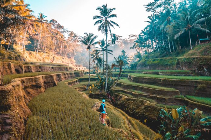 Günstige Flüge nach Bali