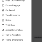 Thai Airways Chatbot App Nong Fah00002