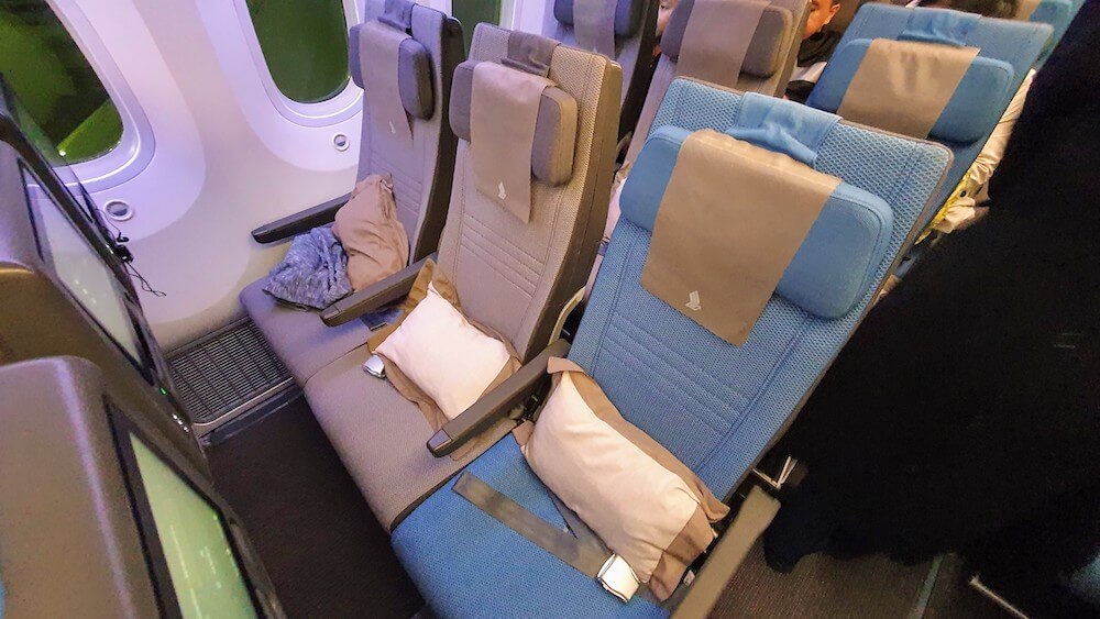 Singapore Airlines Economy Class Boeing 787-10
